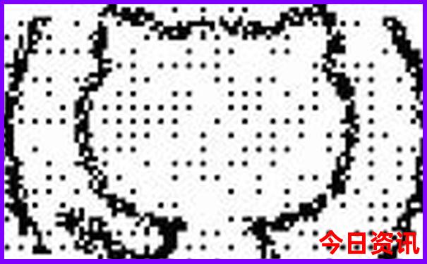 洛杉矶必去的十大景点